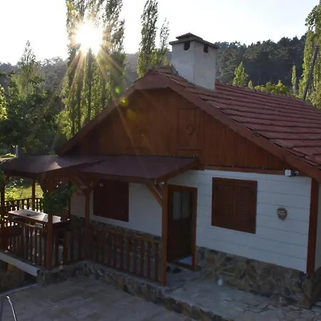 Kartapis Huzurlu Ve Oezel Havuzlu カシュ